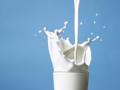 Общий уровень доходности украинских молочников не превысил 5%