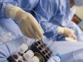 Украина узаконила лечение стволовыми клетками