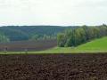 Создание рынка земли в Украине подстегнет АПК к развитию