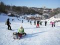 Лыжные выходные в Киеве: цены и возможности