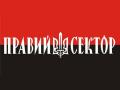 «Правый сектор» не намерен сдавать оружие и начинает формирование «русского легиона»
