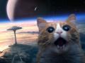 Конец света-2012: к нам летят космические котики