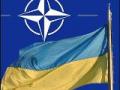 Украина не собирается вступать в НАТО, заявляют в России