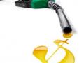 Депутаты повысили акцизы на бензины на 20%