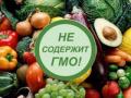 Как Украина борется с ГМО-продуктами 