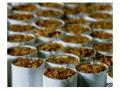 Симоненко защитил курильщиков от повышения цен на сигареты 
