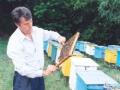 Ющенко обвиняют в уничтожении пчеловодства