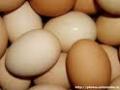 В ноябре производство яиц уменьшилось на 4,4%