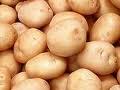 Украина собирается экспортировать картофель в Россию