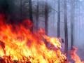 Пожежна небезпека: які області України під загрозою