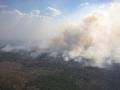 Рада поддержала усиление ответственности за лесные пожары