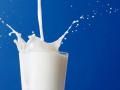 Производители молока заподозрили переработчиков в сговоре
