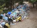 Объявлен конкурс на строительство мусороперерабатывающего завода во Львове
