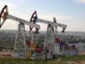 «Укртранснафта» ищет компанию для хранения нефти