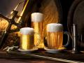 В Украине существенно сократилось производство пива