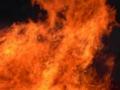 В Украине объявлена наивысшая пожарная опасность