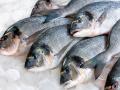 Из-за аннексии Крыма вылов рыбы в Украине сократился в 2,5 раза