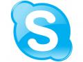 В России потребовали лицензировать Skype