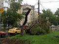 В результате урагана в Московской области погиб украинец