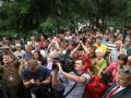 «Бунтовщики» из Врадиевки идут на Киев пешком