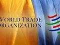 Украина подала первый иск к России в ВТО