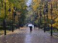 В Україні 27 листопада очікується невеликий дощ, вдень до +12°