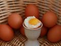 Які яйця найкорисніші: експерти назвали кращий спосіб приготування