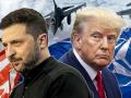 Нобелівська премія для Трампа: Зеленський назвав умову підтримки Україною