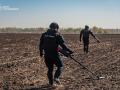 Українські сапери у січні розмінували понад 8 700 га деокупованих територій