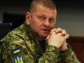 Українці найбільше довіряють ексголовкому Залужному і Зеленському, - опитування