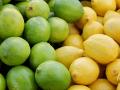 Лимон чи лайм: у чому між ними різниця та що корисніше для вашого здоров’я