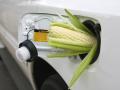 Украина не готова разбавлять бензин биоэтанолом