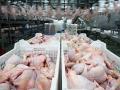 Украина переходит на евростандарты для мяса птицы – приказ
