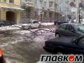 На пути Януковича упало огромное дерево