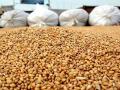 Украина экспортировала более 19 миллионов тонн зерновых