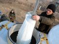 Азаров возлагает надежды на отечественных молочников