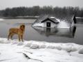 На реках Западной Украины будет рекордное наводнение