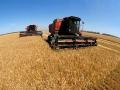 Украину ждет рекордный урожай