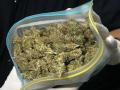 Продавали марихуану: в Запорожской области разоблачили пару наркодилеров