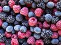 Украина бьет рекорды по экспорту замороженных фруктов и ягод