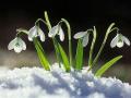 Синоптики прогнозують "весну" в Україні серед лютого: прогноз на місяць