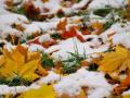 Украине прогнозируют резкое ухудшение погоды – мокрый снег