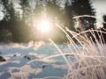 Туман, сніг та ожеледь: синоптики розповіли про погоду на 10 січня