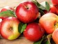 Холодна весна і шкідники зіпсували врожай яблук – наскільки злетить ціна