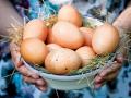 Свежие ли яйца, как проверить