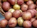 Ждать ли дешевой картошки в Украине: эксперты дали прогноз