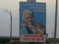 Эксперт рассказал о подоплеке билборда с котом