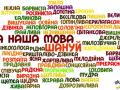 Лагідна українізація: мови все більше і більше