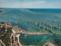 "Зеленое" море в Одессе: экологи дали совет насчет купания