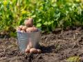 В Украине стартовал сезон огородов: что выращивают на продажу